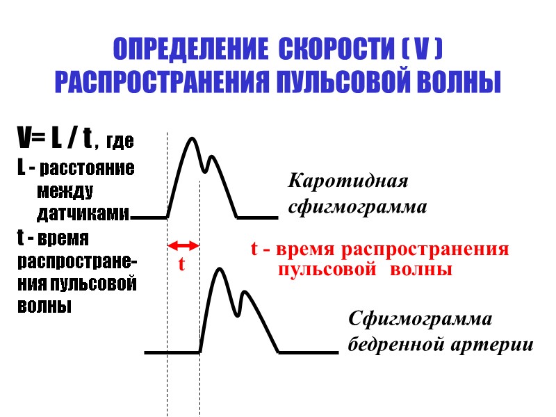 ОПРЕДЕЛЕНИЕ  СКОРОСТИ ( V )  РАСПРОСТРАНЕНИЯ ПУЛЬСОВОЙ ВОЛНЫ    